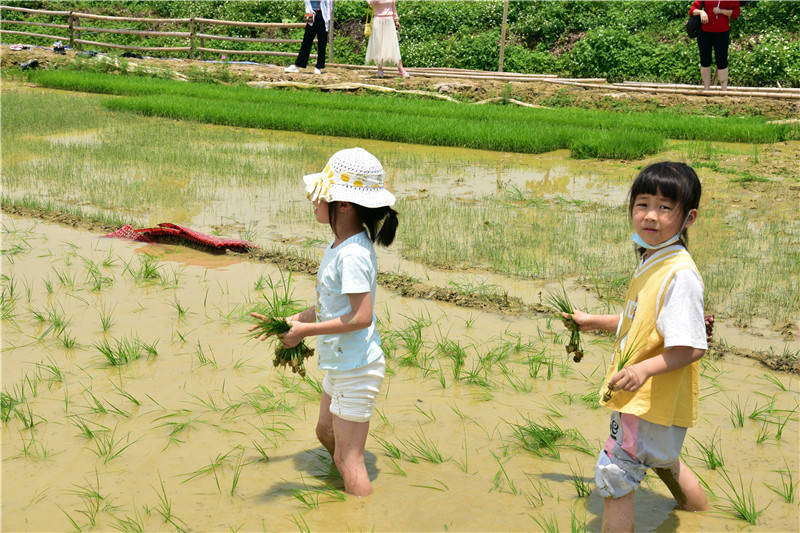 研學旅行成旅遊重要板塊佛山60家基地營地獲研學身份證