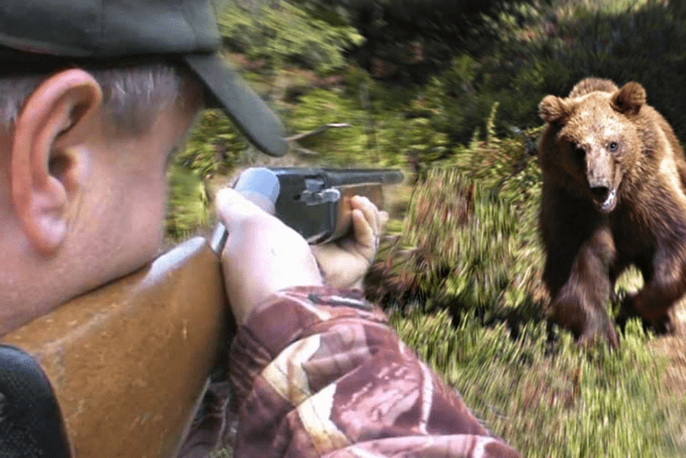 原创熊可以攻击一个人并吃掉他吗