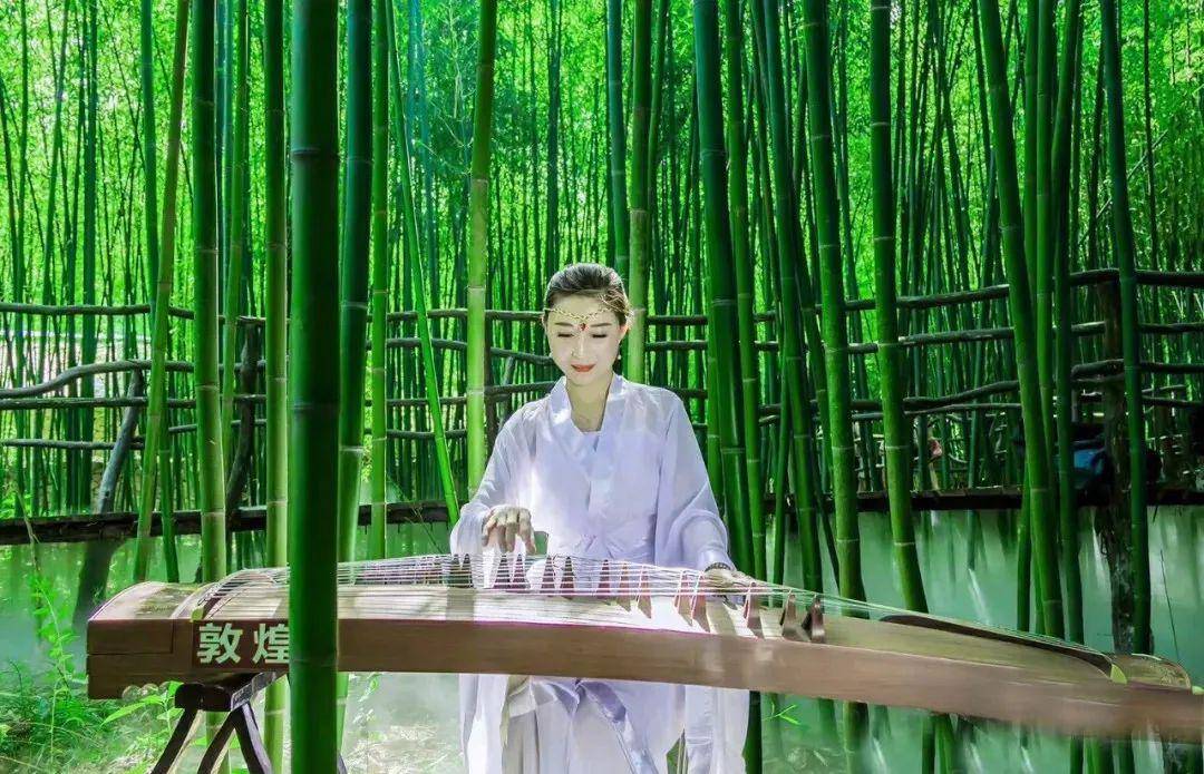 竹林_景区_part