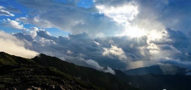 去或留?家电业再现围城效应-家电圈官网