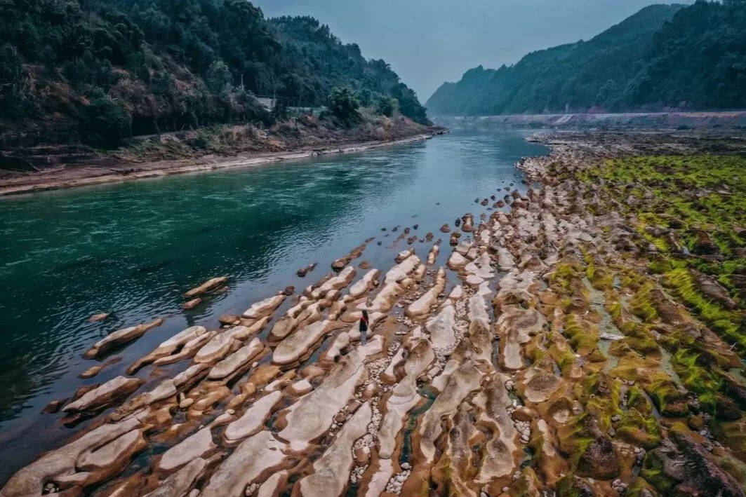 乐山今年的"平羌小三峡石鸭子"河滩,特别值得去打卡,因为去年岷江发生