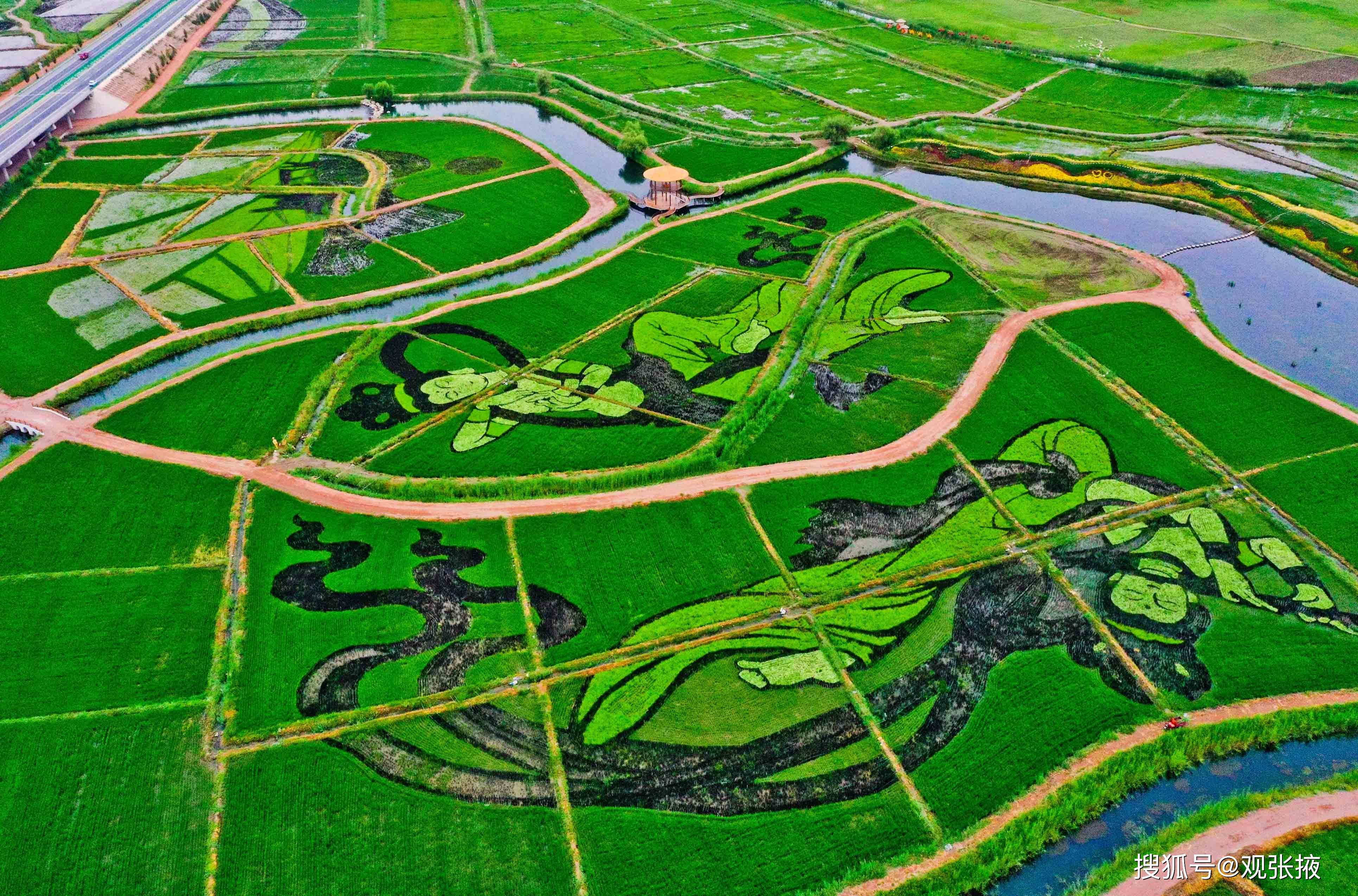 景观区内2000多亩彩稻田画栩栩如生,从高处俯瞰,田园风光和生态美景展