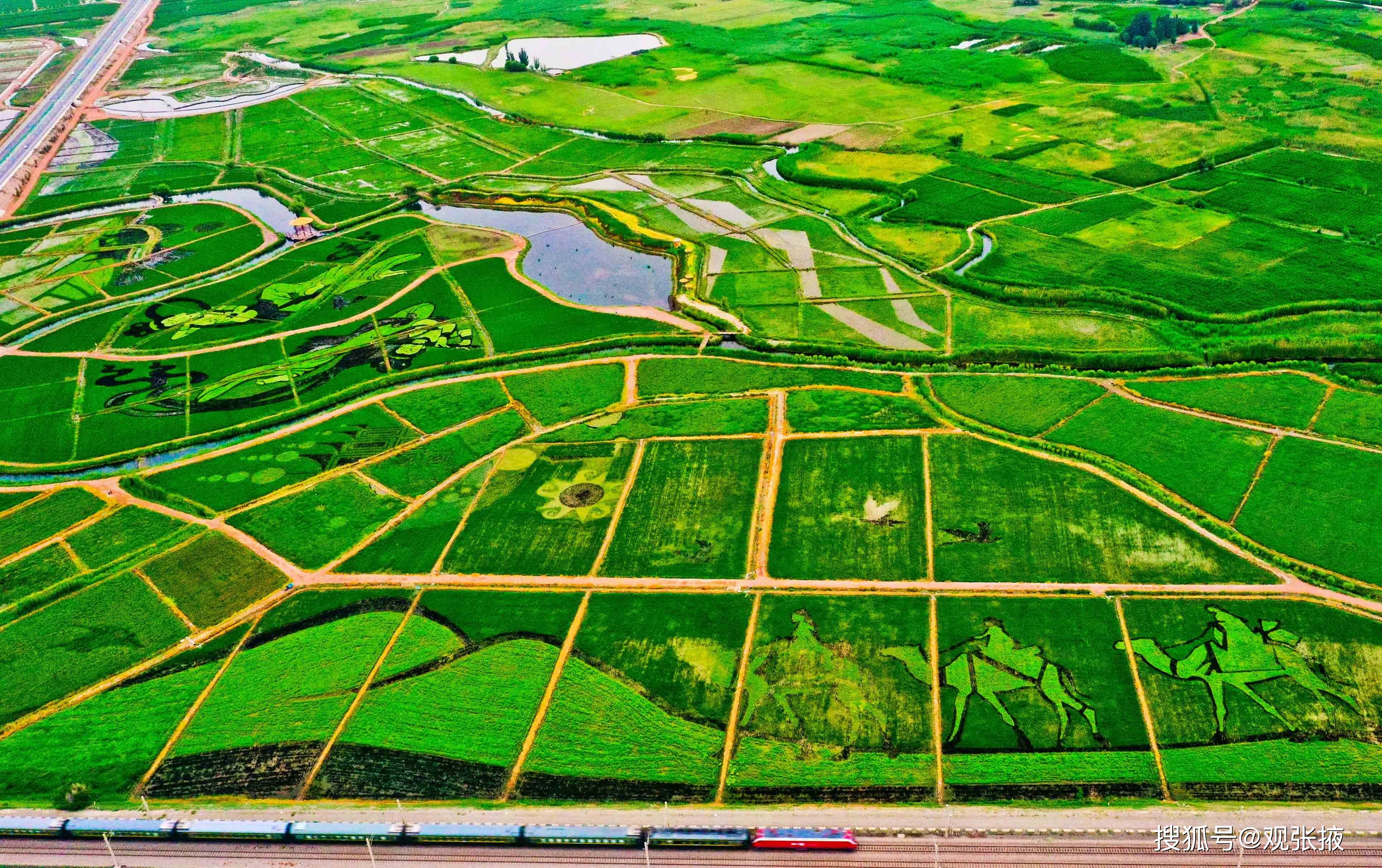 大地为纸 稻苗作笔,甘州田园绘出"好丰景"_稻田_农田_农业