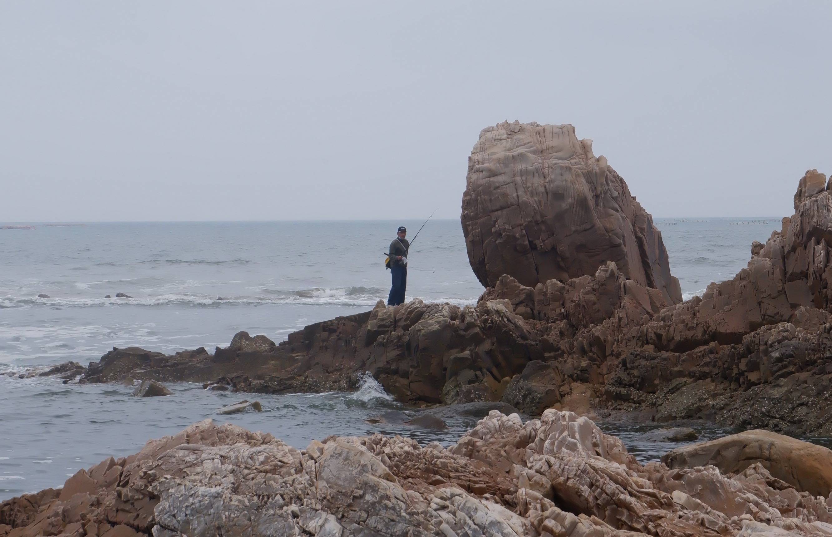 青岛露宿海边,2000米月牙海滩,清晨起来赶海,捡海带抓海星_沙滩_礁石