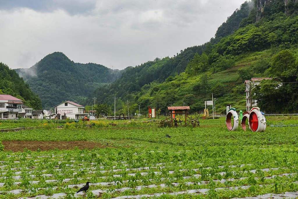 这里是离广元最近的避暑胜地，夏天只有23度，你去过吗？