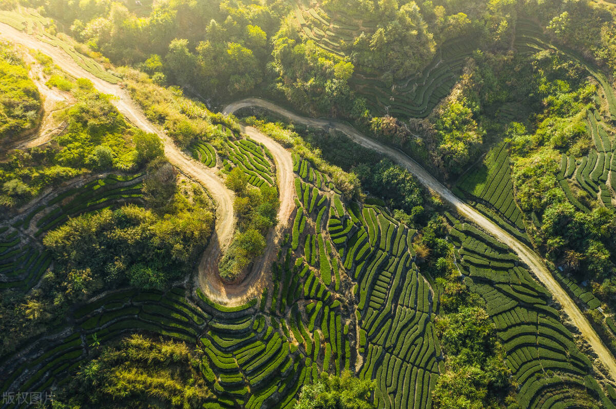 郭进拴走进湖头镇