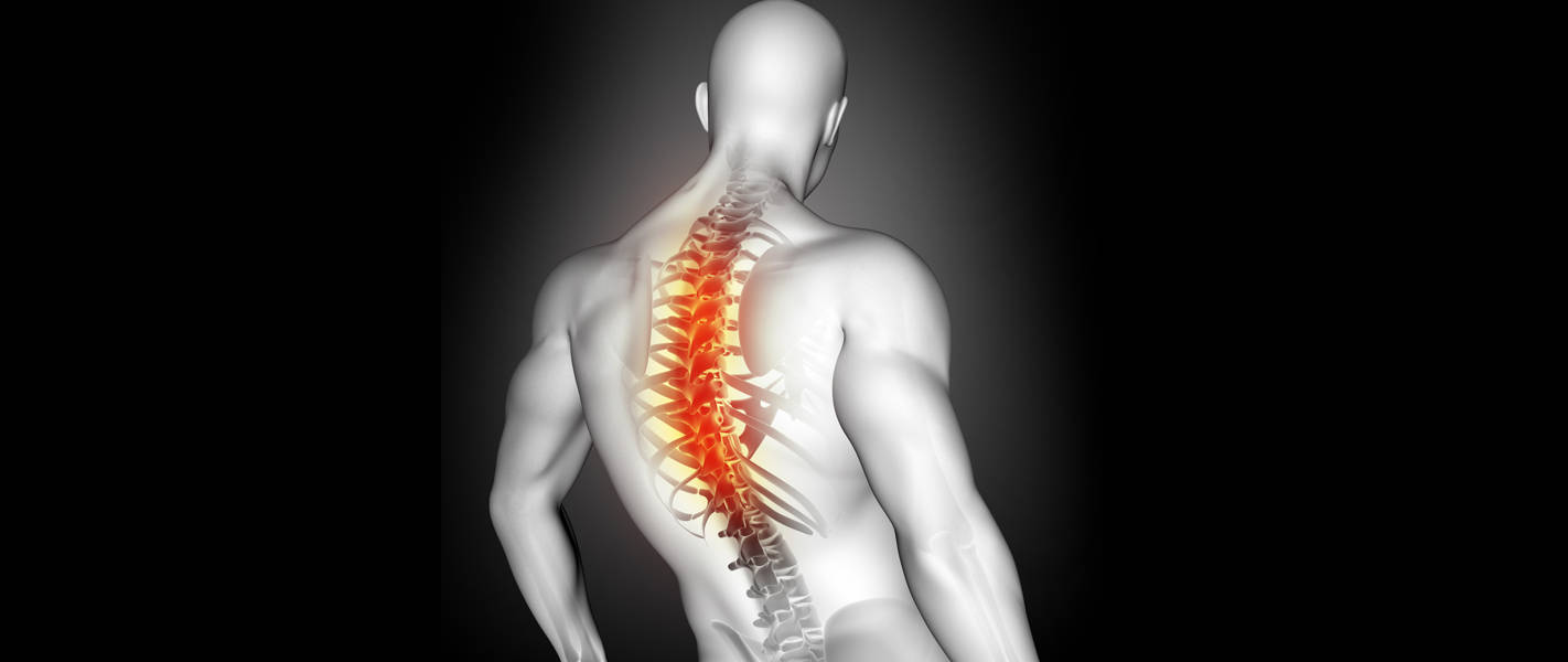 人工智能在脊柱诊疗方面的应用进展_搜狐网