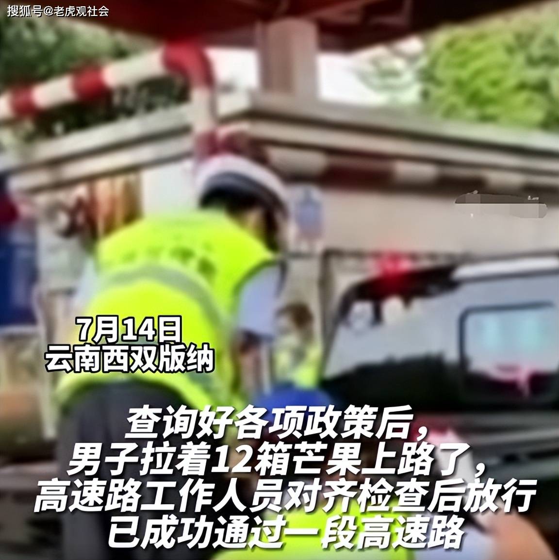 云南：男子自驾游嫌过路费太贵，为了省1800元过路费，拉12箱芒果走绿色通道！