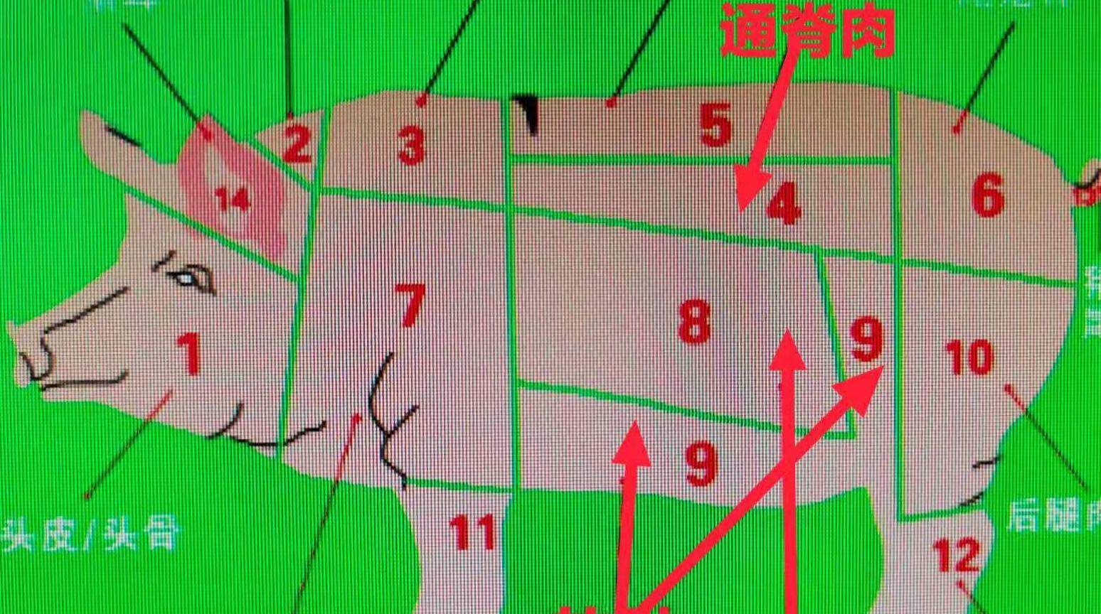 买五花肉 要分清 硬肋肉 和 软肋肉 口感差别大 别买错了 的特点 瘦肉 肥瘦