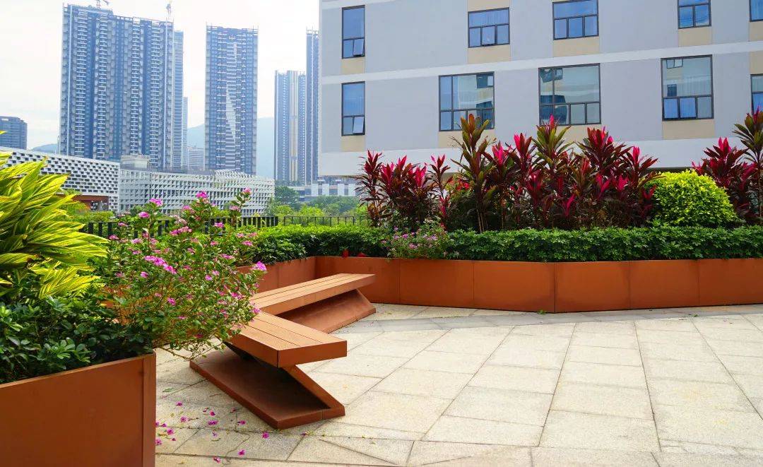 大学校园生态景观立体绿化解决方案_植物园_环境_文化