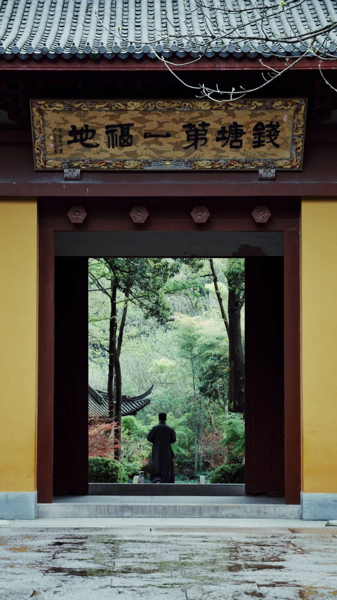 你就看见了人们如何记忆".