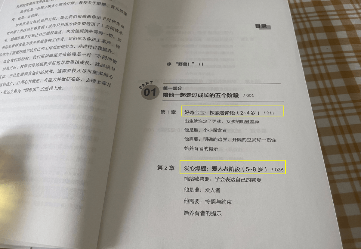 二胎妈妈实录：养育男孩的3个禁忌和2个必须,越早认清越好