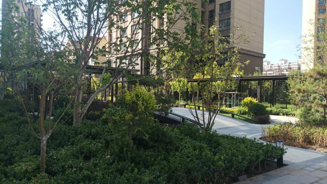 银川性价比高的项目,长登·璞悦湾_活动_客户_资源