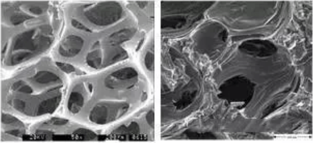 泡沫炭制备及应用 网状结构 韧带 材料