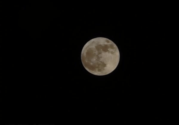 一起来赏月！看华为、小米、荣耀镜头下的超级月亮