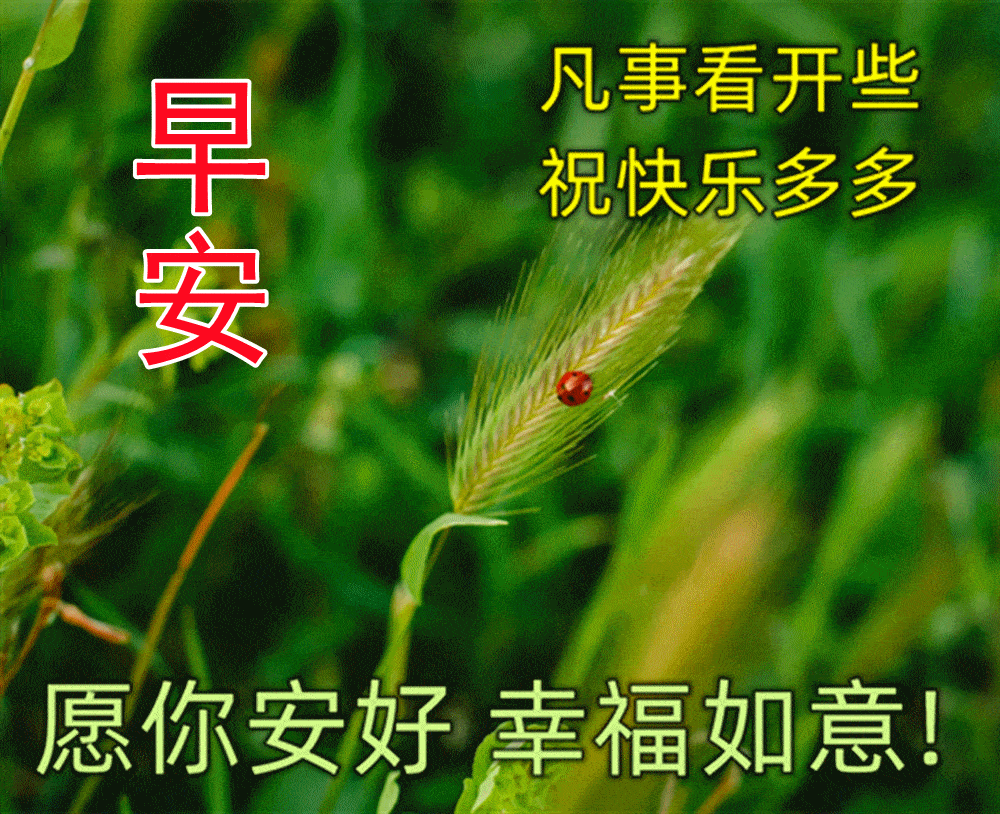 原创8张最美夏日风景早安早上好图片带祝福语好看的朋友圈早安问候