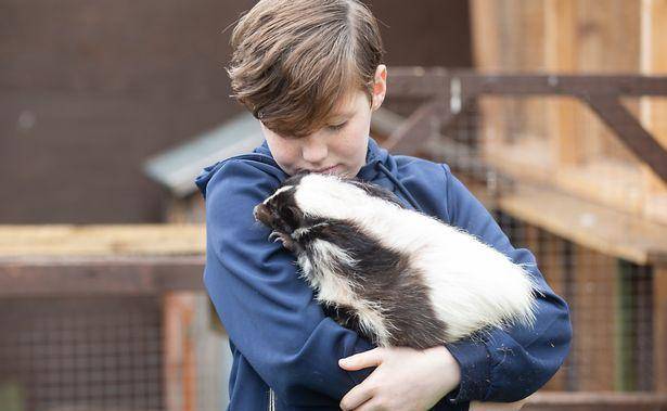 英国夫妻让1岁女儿与群蛇玩,12岁儿子和3条巨蟒同住,称对娃好_盖文