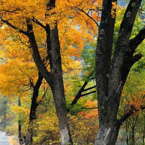 大自然的美干净治愈山水风景微信头像图片2022最新款