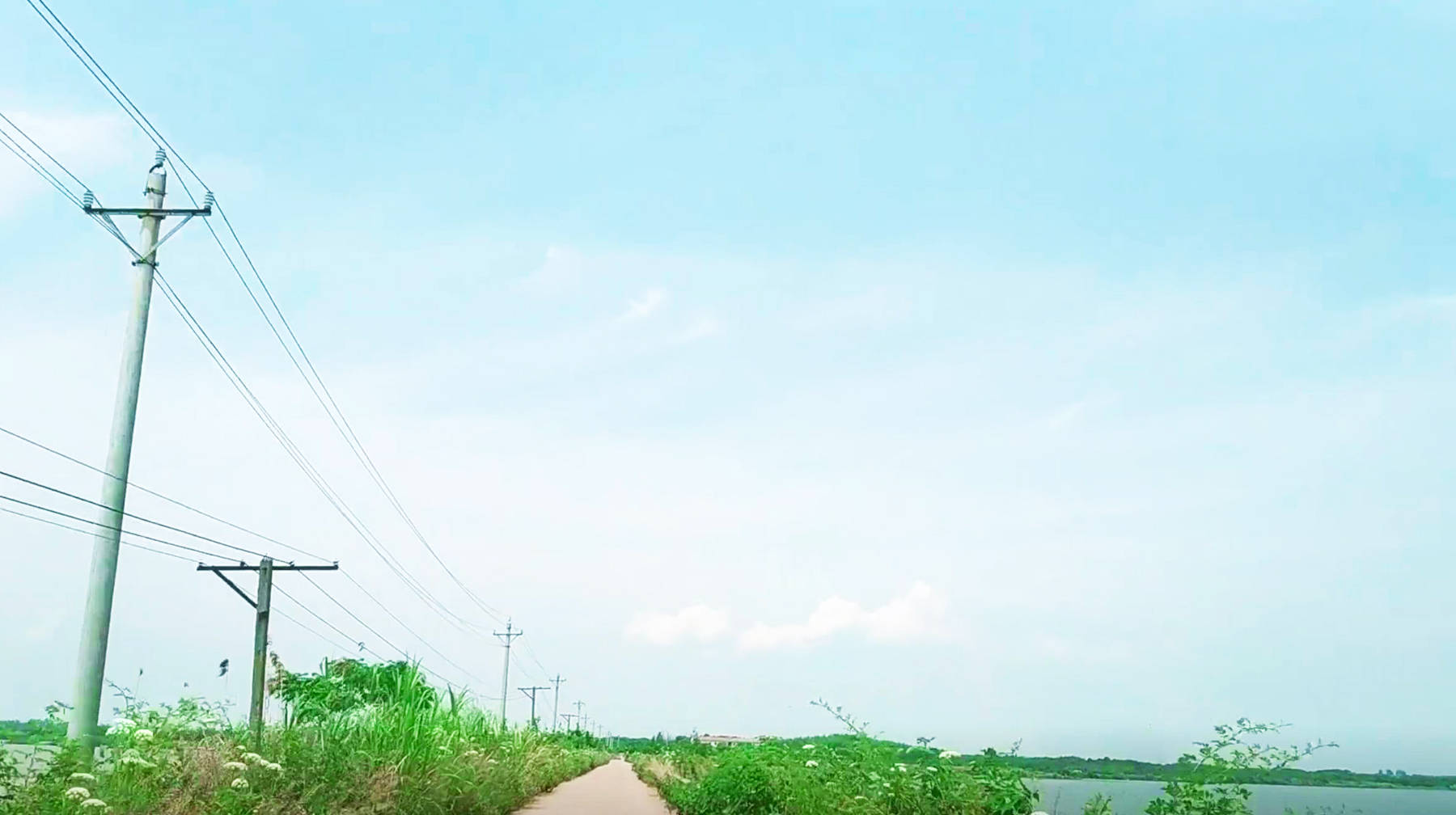 在武汉郊区这座自然湖滩随拍，荷花开在水天一线处，夏天已经来了