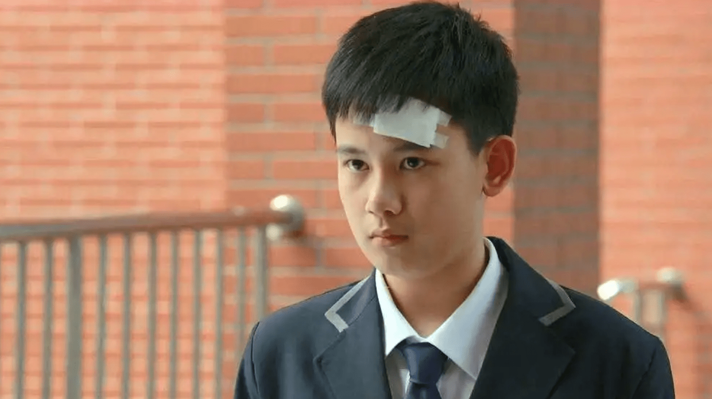 19岁考入北电却惨遭"差评",如今被黄磊捧红了_林宏年_顾林_顾佳怡