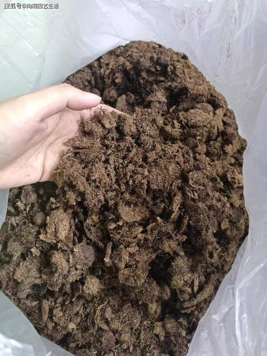 网上买营养土 啥样的最合适 按升还是按斤 不如自己搭配 花土 土壤 进口