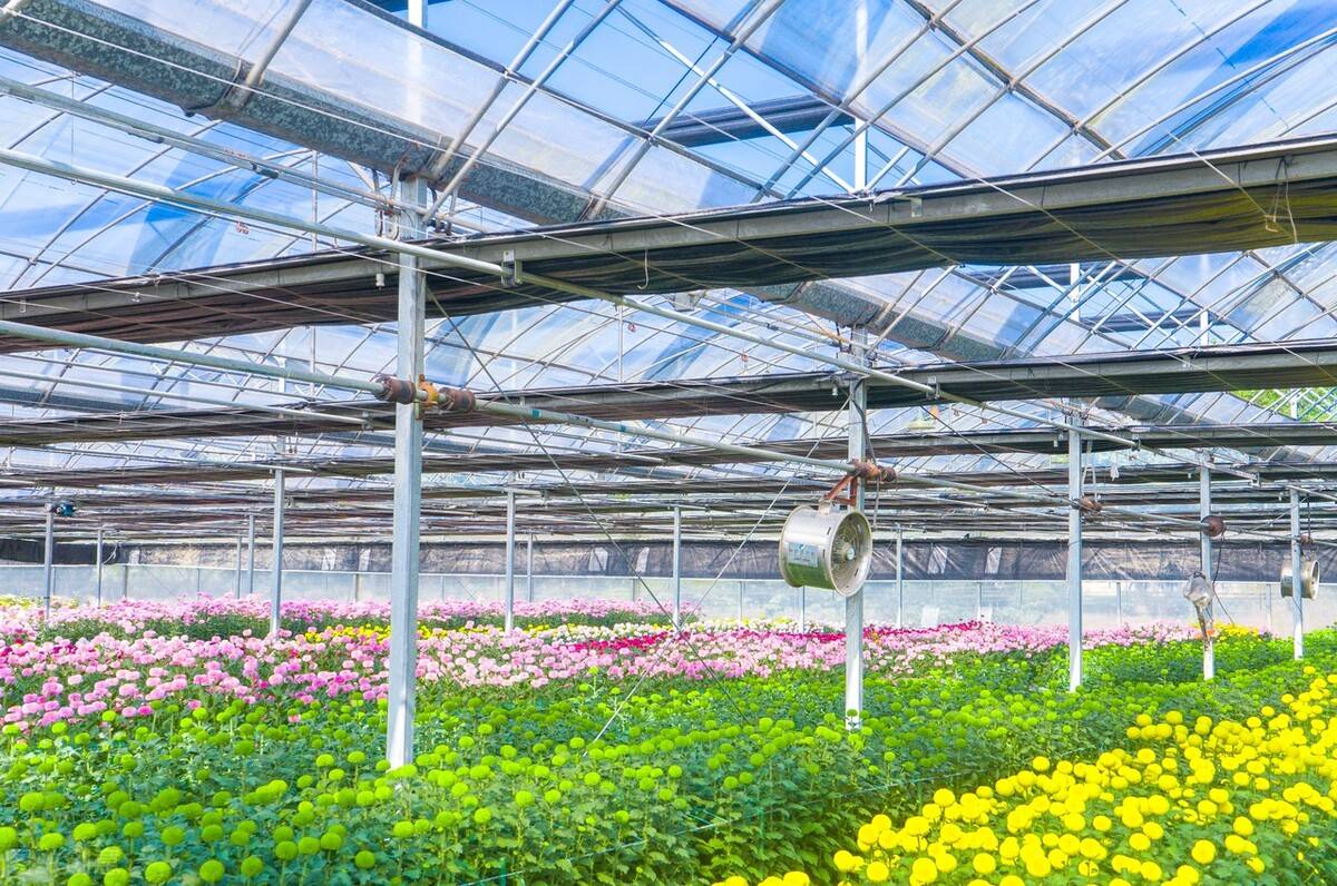 大棚物联网与互联网技术发展迅速,智慧农业任重道远_温室_人工智能