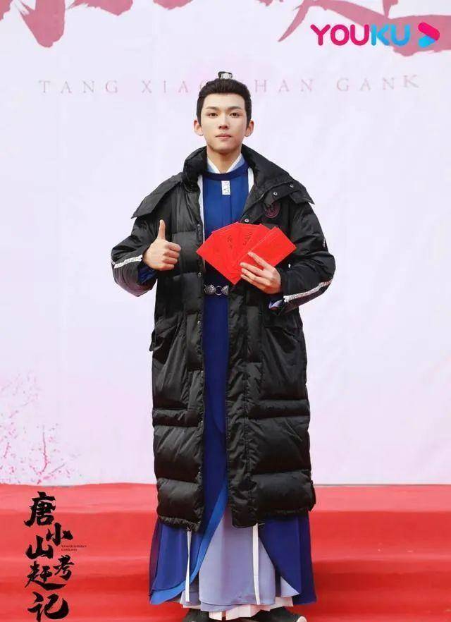 演员阵容_题材_电视剧