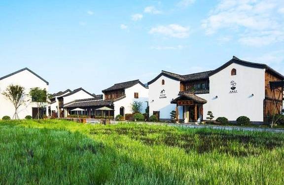 中国最有"抱负"的小镇,管理资本3000亿,免费开放成网红打卡地_梦想