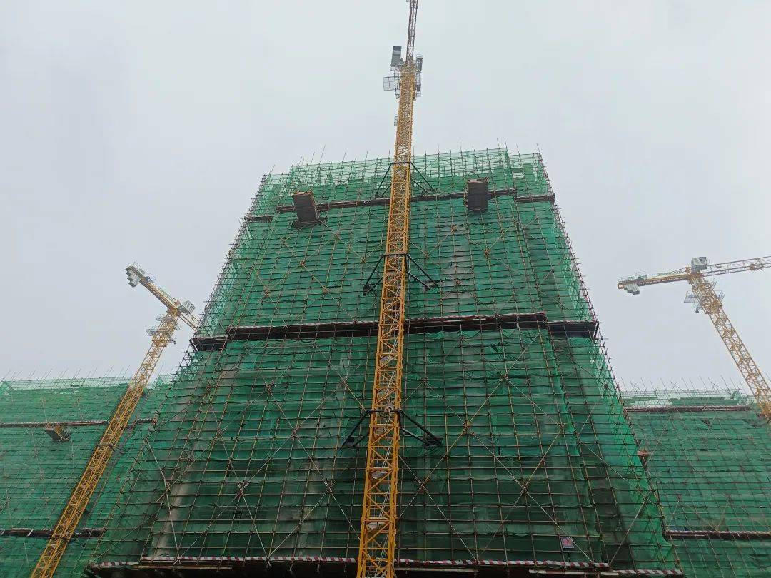 蝉鸣声声盛夏至,繁雨阵阵降热海,燥潮轮转花依在,中玮如约家速来.