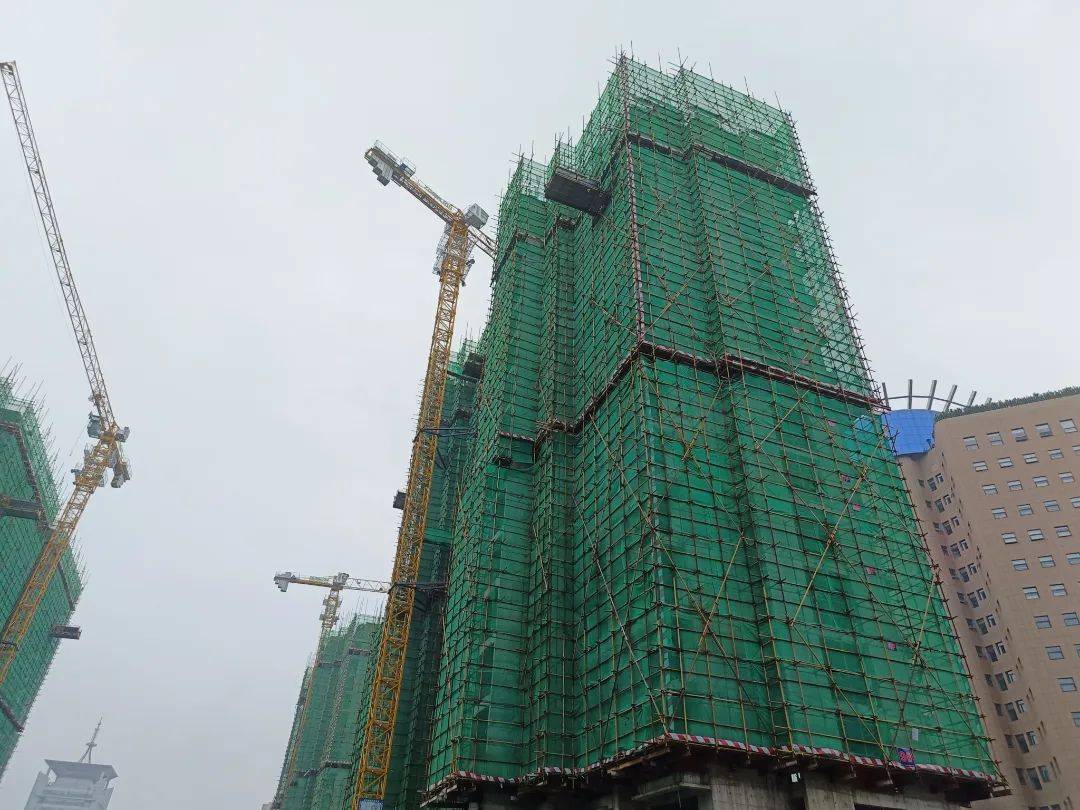 蝉鸣声声盛夏至,繁雨阵阵降热