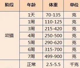 原創不同體型的貓體重不同奉上貓咪體重對照表你家貓超重了嗎