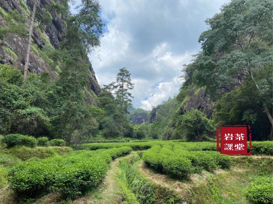 文章配图-6