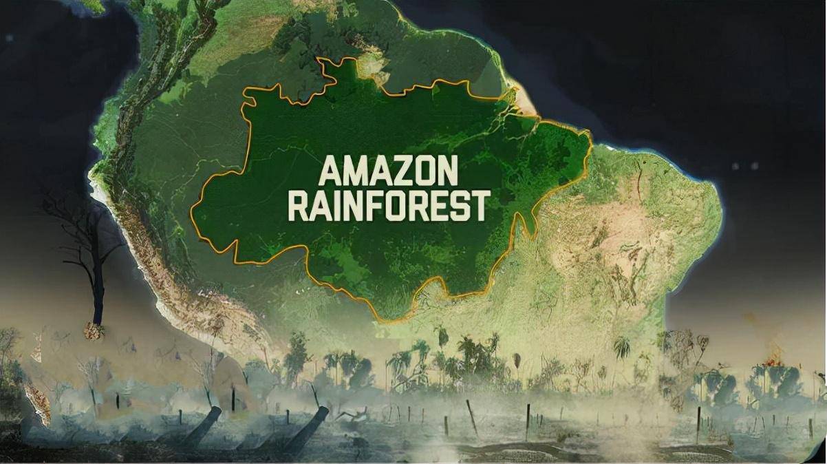 “地球之肺”亚马逊雨林，为什么是人类禁区？到底有多恐怖？