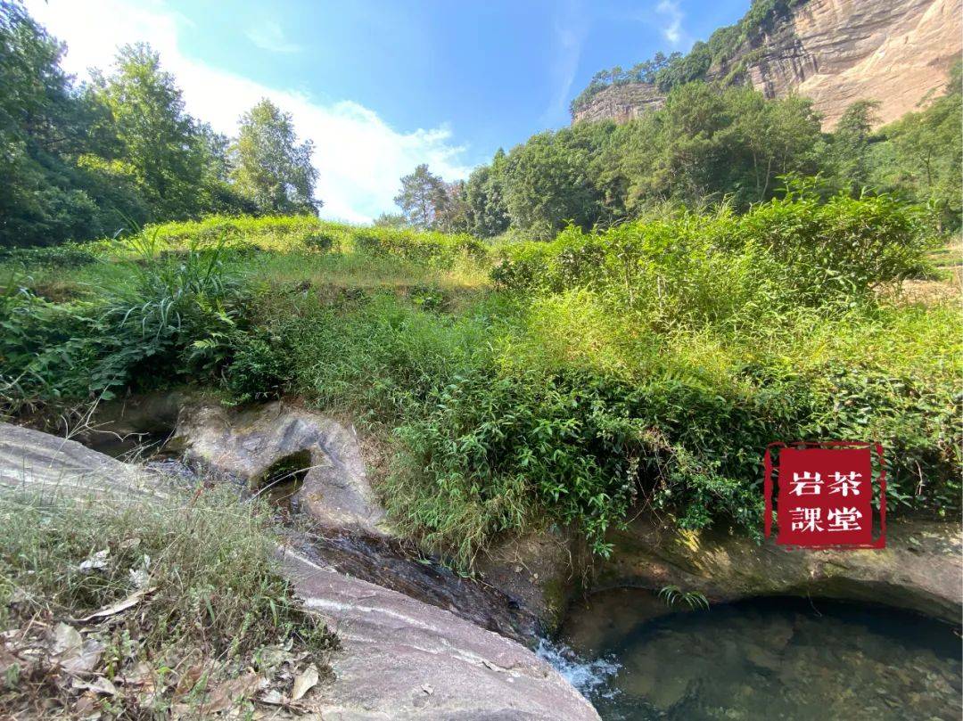 文章配图-5