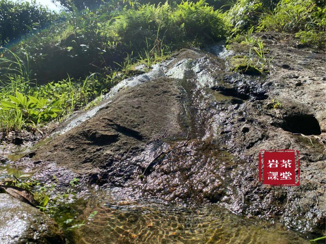 文章配图-3