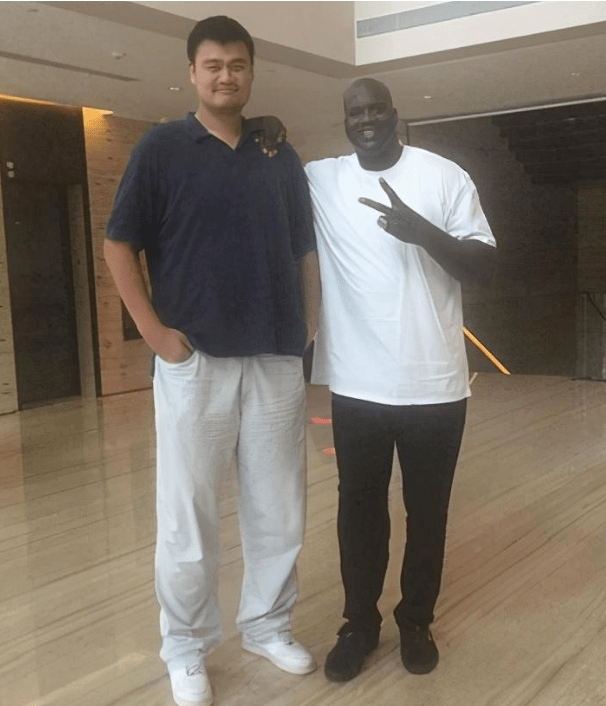 大秀哥可是wwe的名人,他身高2米13没奥尼尔高,但是身体比奥尼尔厚实