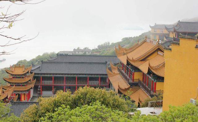 北京有一宝藏寺庙，坐北朝南，植物品种稀有，超多游客到此打卡！