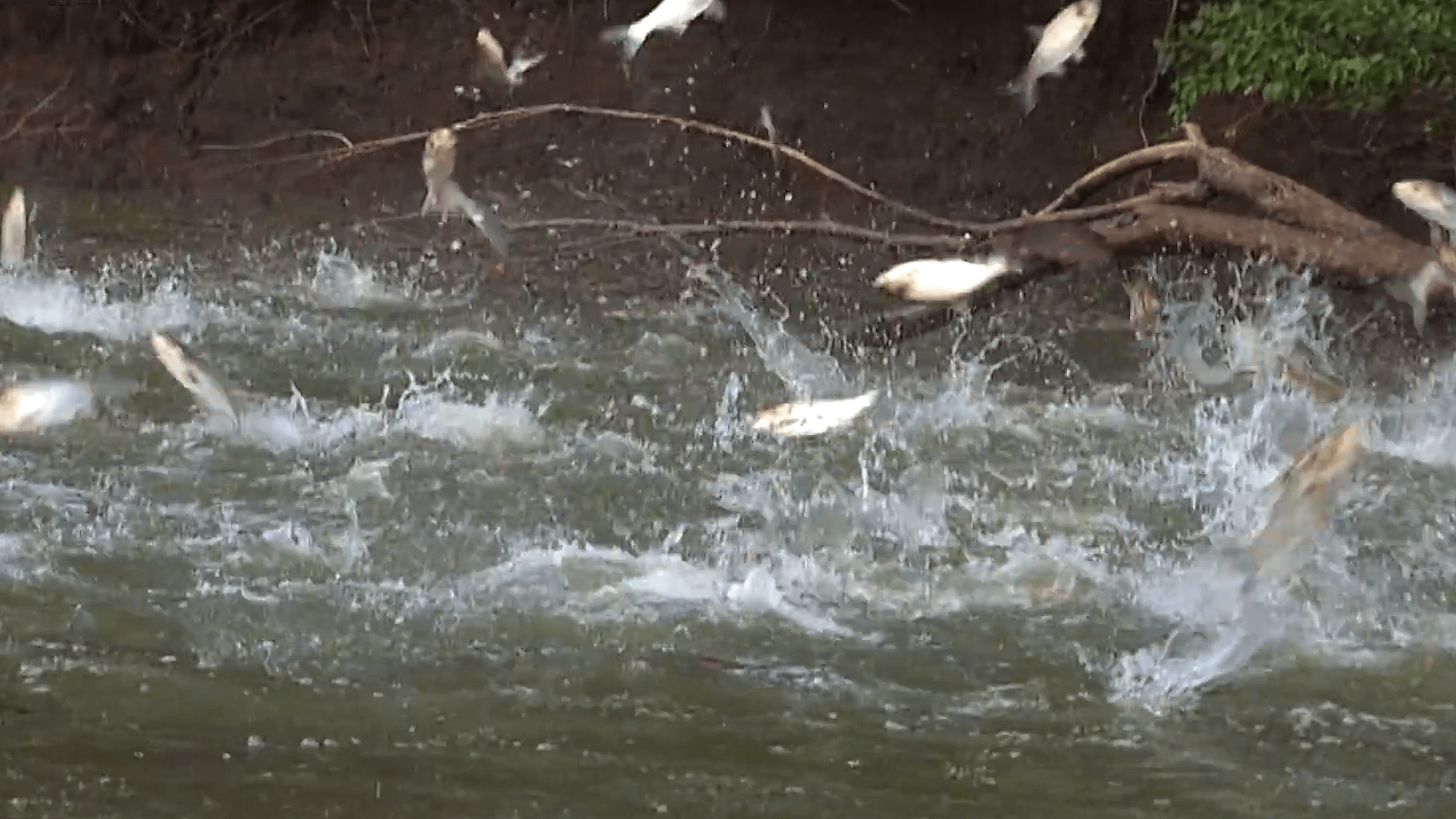 吉林长春_地震_地区