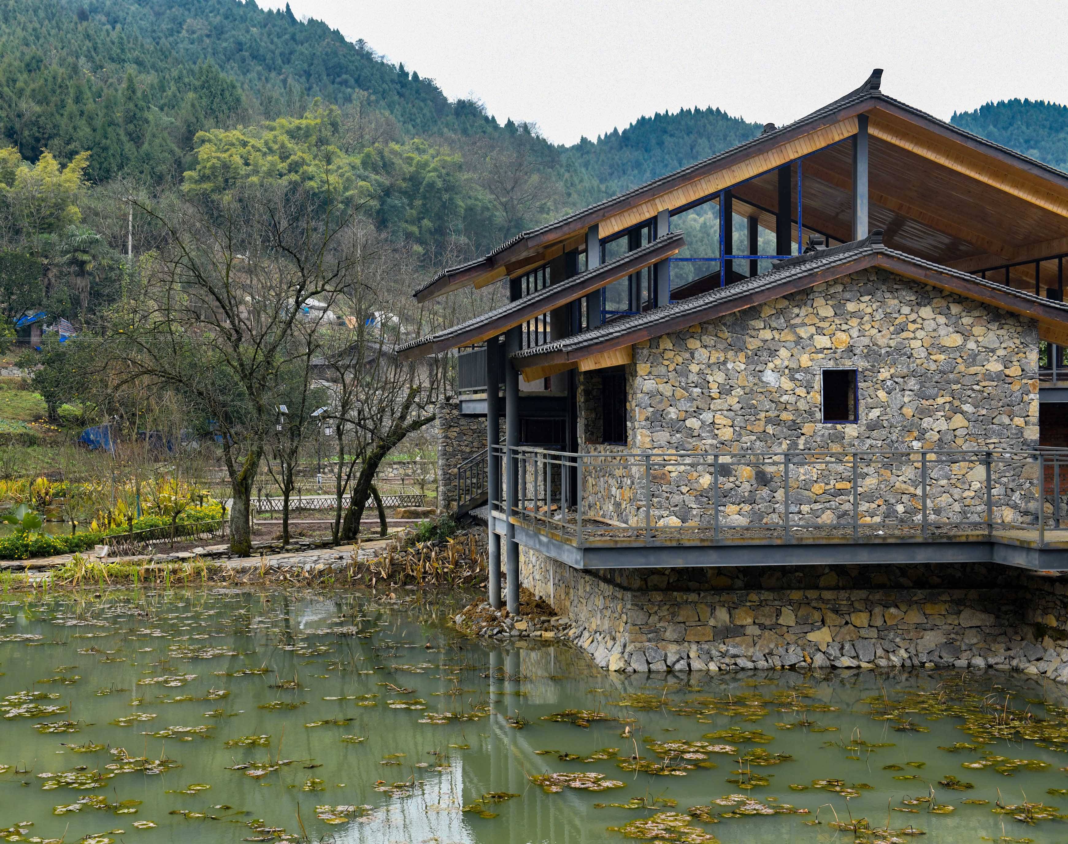 新春走基层 - 渝北区“四山”区域农村人居环境整治推进乡村振兴