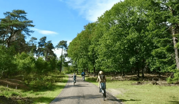在荷兰唯选这些出行的景点，怡然自得且靠谱，骑上自行车慢慢享受