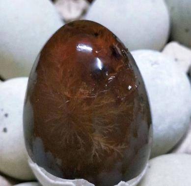 皮蛋其实就是松花蛋,松花蛋剥去壳就被叫做了皮蛋,皮蛋表面有一层"