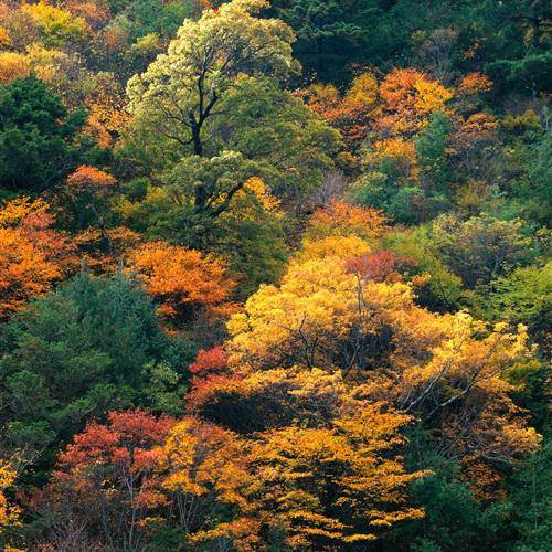 大自然的美干净治愈山水风景微信头像图片2022_治愈_头像_山水