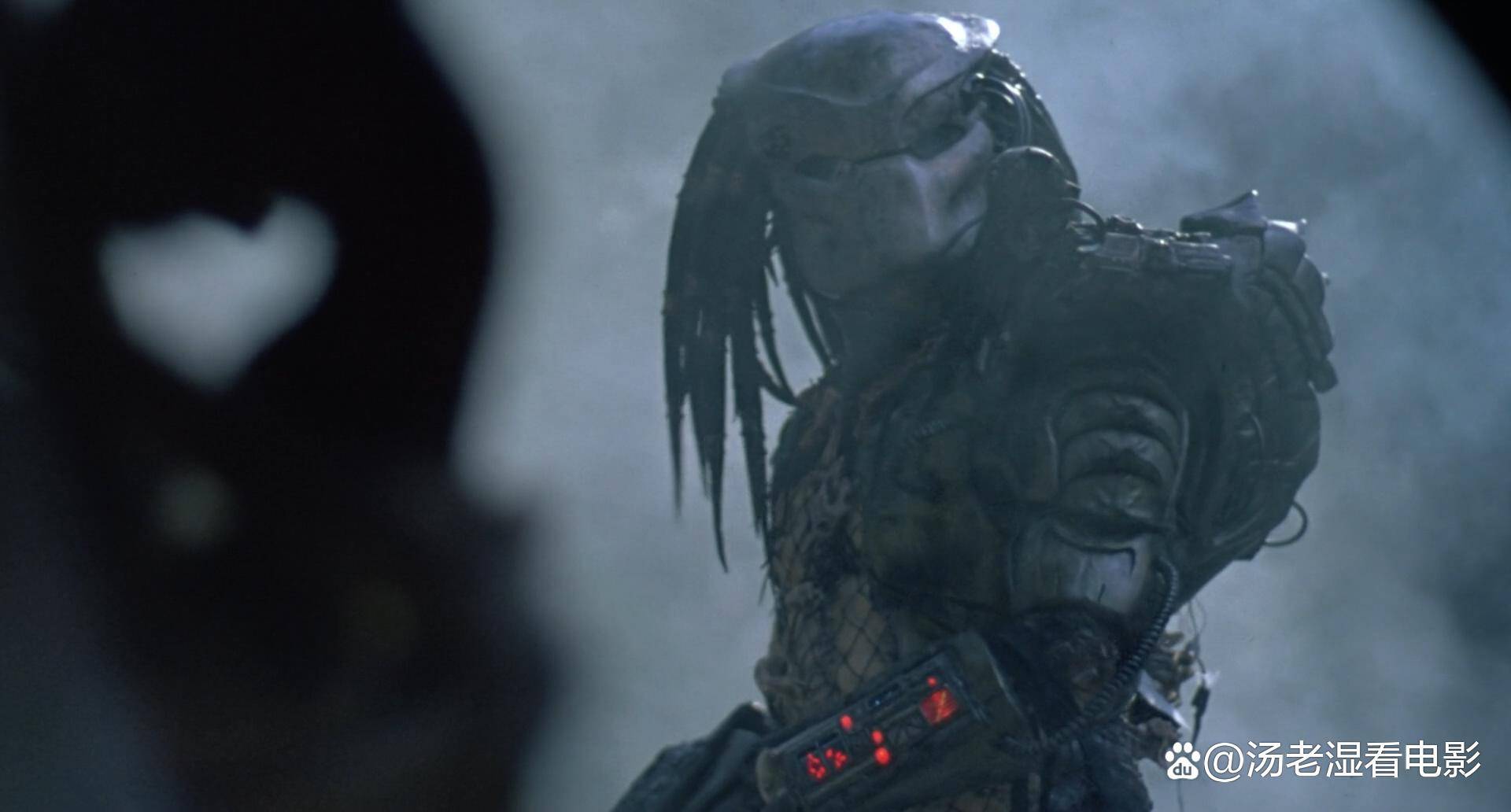 《铁血战士2》在《铁血战士:猎物》上映后仍是一部被低估的续集