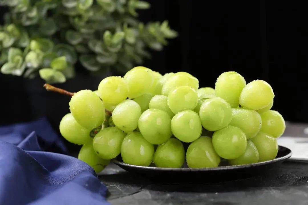 哆唯购陕西阳光玫瑰青提20高甜爆汁皮薄无籽一次吃一串贼过瘾