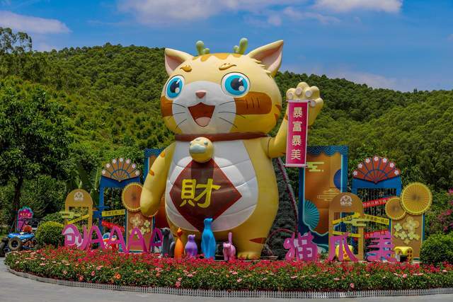 广东首个以猫为主题的乐园，位于肇庆，超适合爱撸猫的朋友