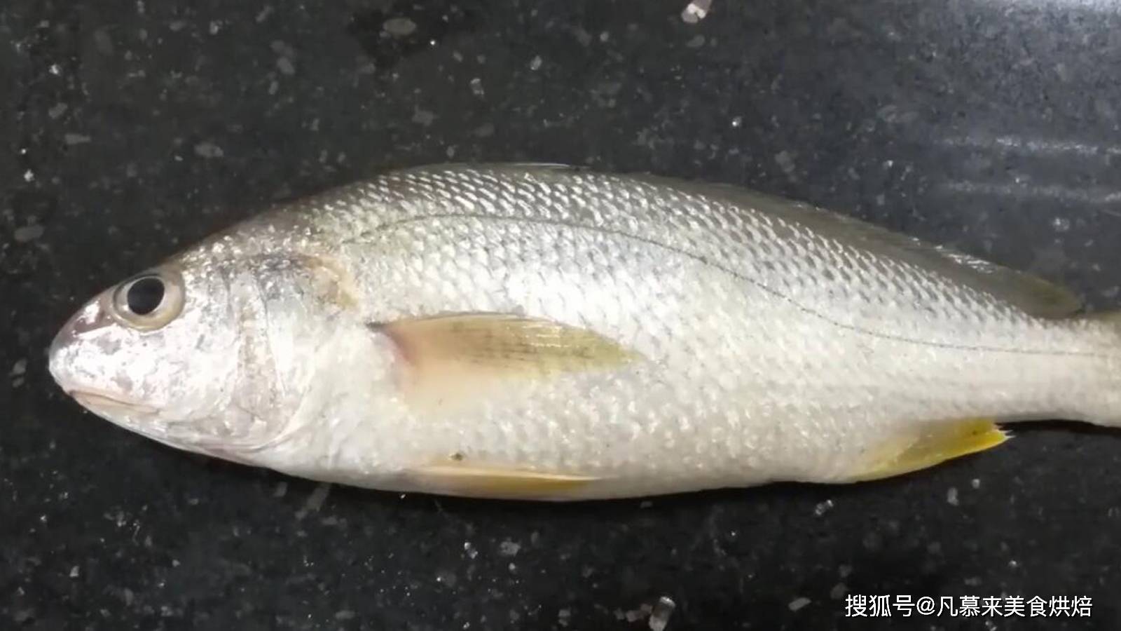 滑仔鱼,也叫白姑鱼,石首科鱼类,成年鱼大概一两左右,是南海最便宜的