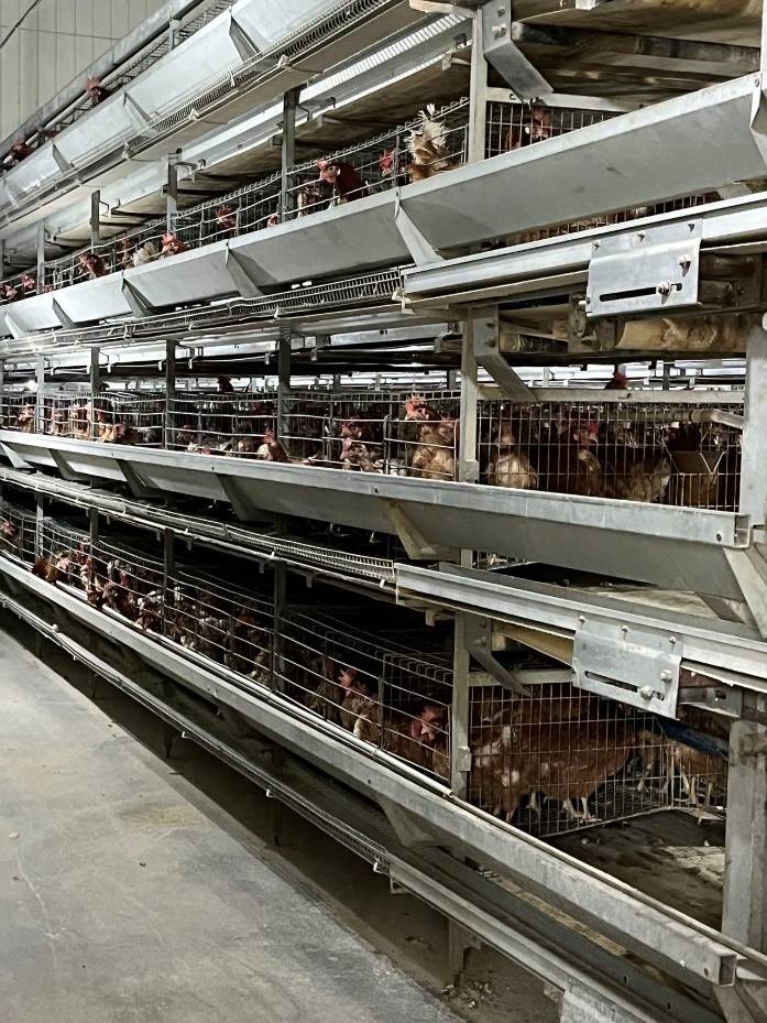 索尼与天津农科院开发智慧养殖巡检系统，助力中国农业智慧升级-家电圈官网