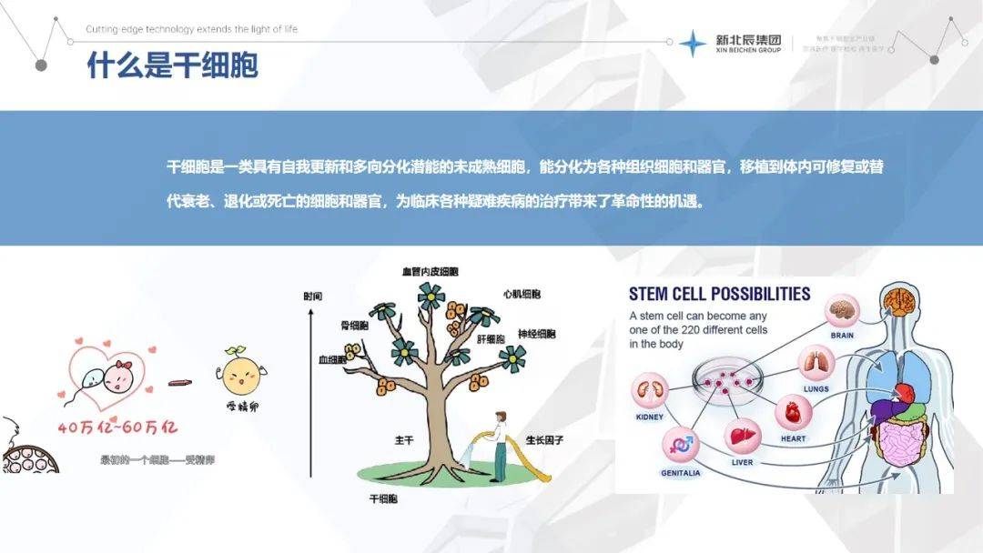 干细胞外泌体因子美容(干细胞外泌体是生长因子吗)