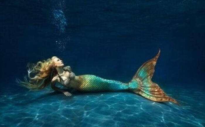 世界一神秘水生物,各国关于它的传说有很多,至今还是个谜_美人鱼_人类