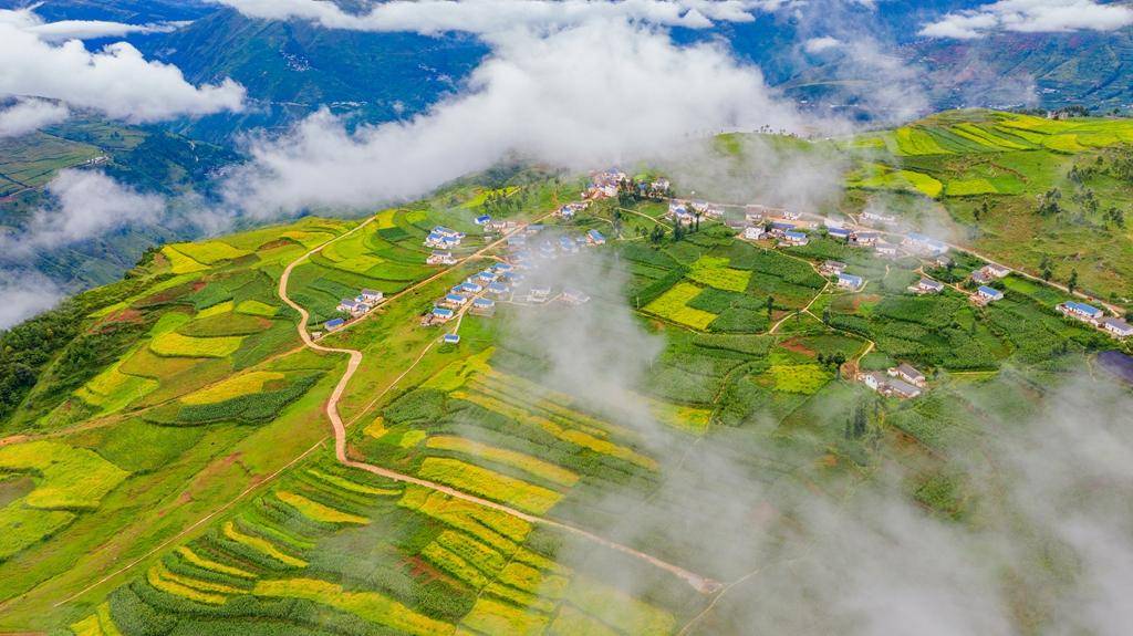 镜头下的大凉山:凉山州成立70周年县市风采——金阳县_索玛_发展_花椒